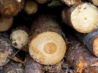 Produktionsanlage von HOMANIT als Bildmotiv zum Thema Nachhaltigkeit