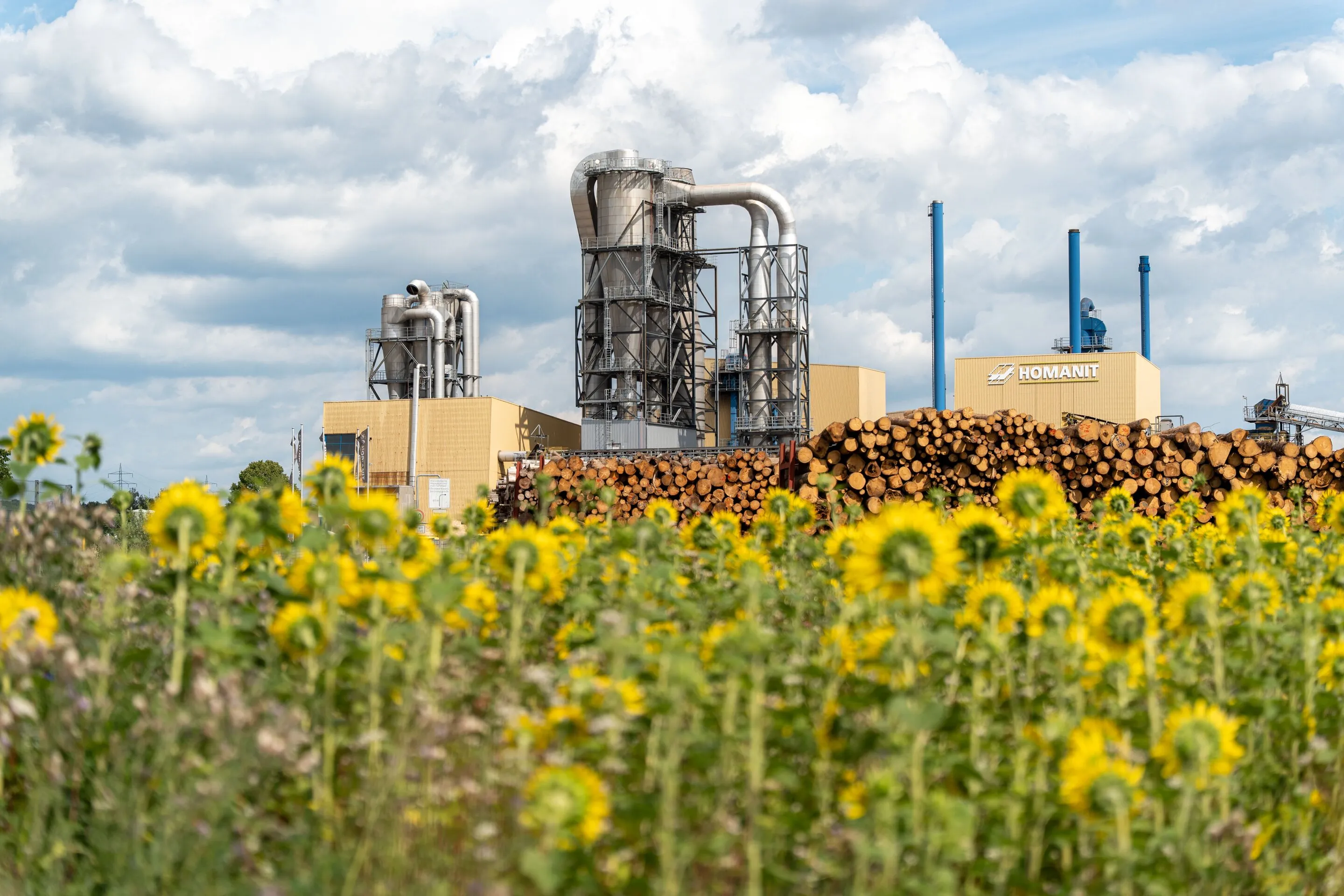 Arbeitsumfeld bei Homanit
